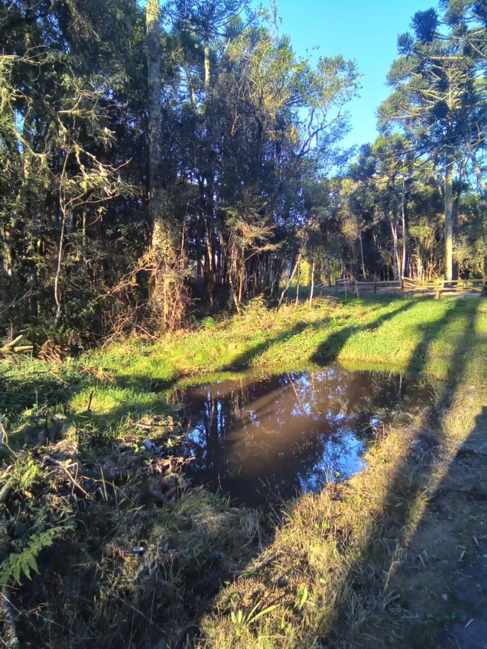 Sítios Rio Rufino SC - Foto 5