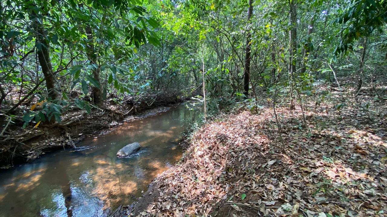 Chácara de meio alqueire em bela vista com córrego!