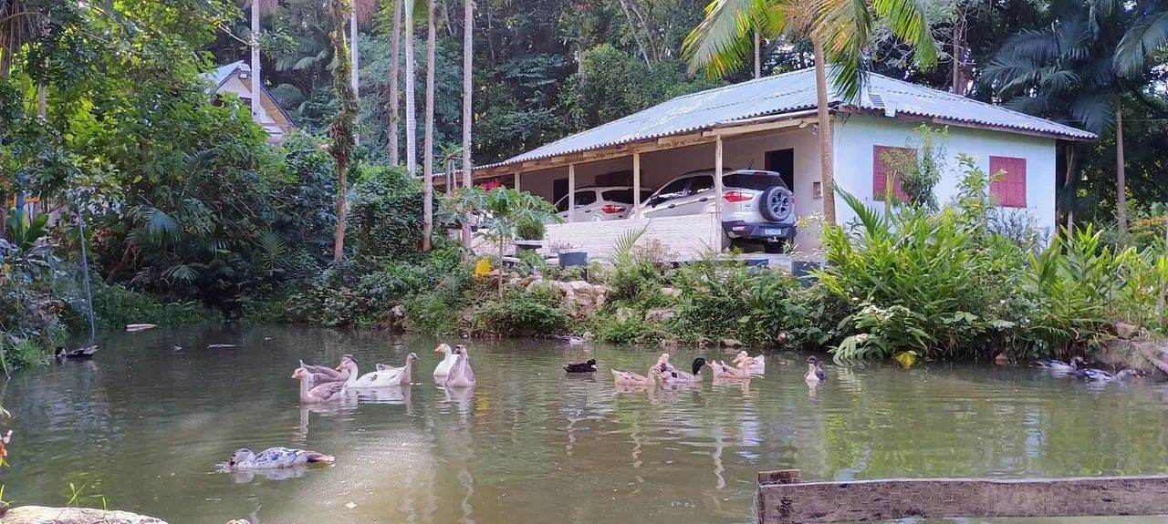 SÍTIO DOS SONHOS À VENDA! - Foto 2
