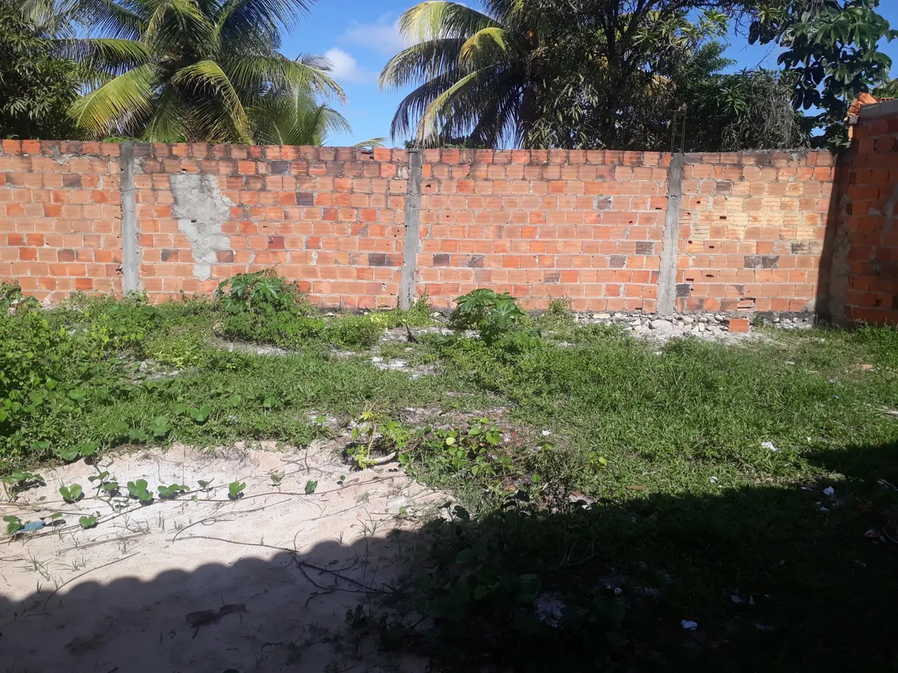 Terreno no novo horizonte mede 11por 9