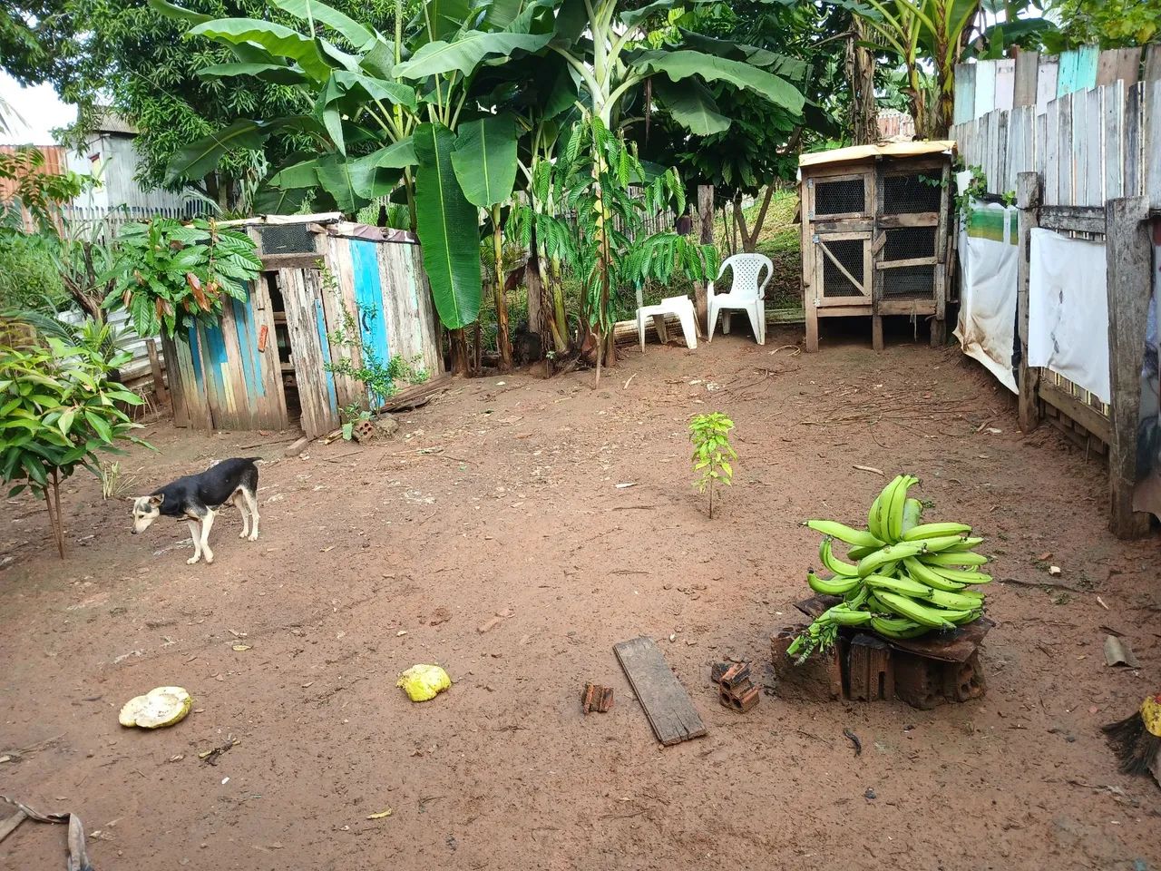 foto - Rio Branco - Montanhês