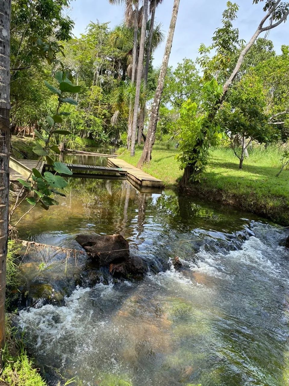 chacara no João de Barro