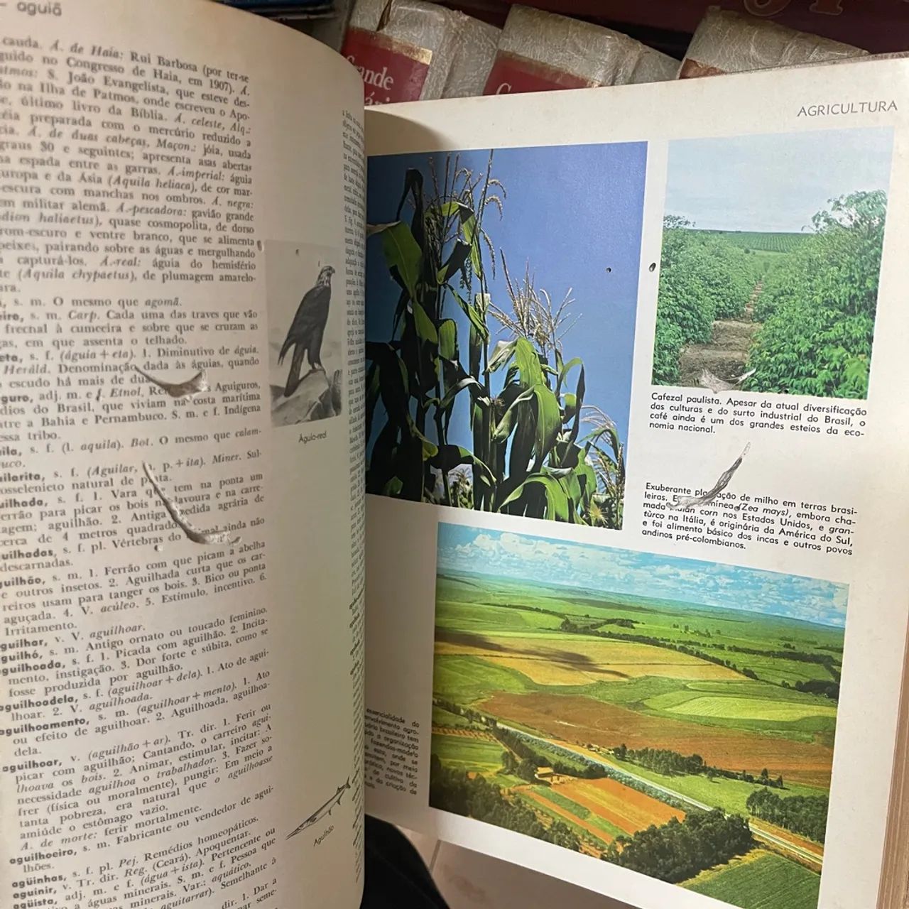 Grande dicionário brasileiro melhoramentos coleção 5 livros - Foto 6