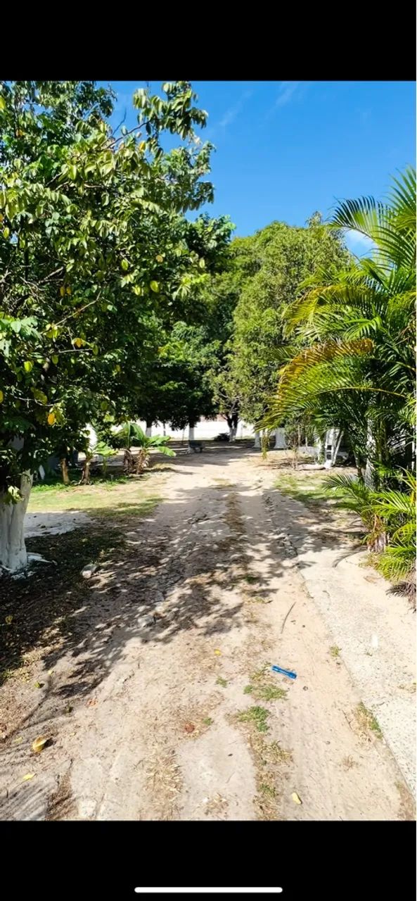 VENDO CHÁCARA COMPLETA - Foto 4