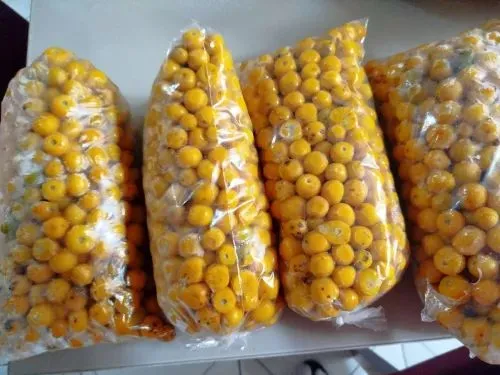 Frutas frescas e saborosas