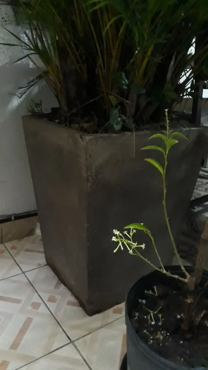 03 Vasos de planta em cerâmica