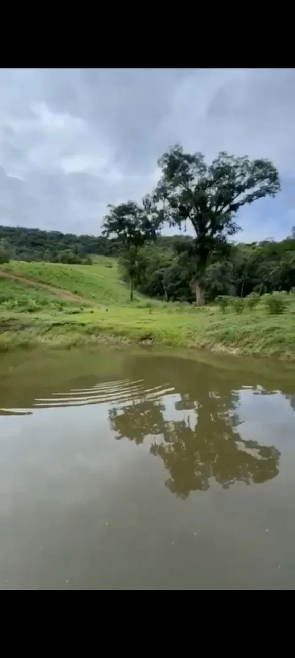 EXCELENTE OPORTUNIDADE NA CIDADE DE JUQUIA. SÍTIO COMERCIAL NA CIDADE DE JUQUIA SP. Ótimo