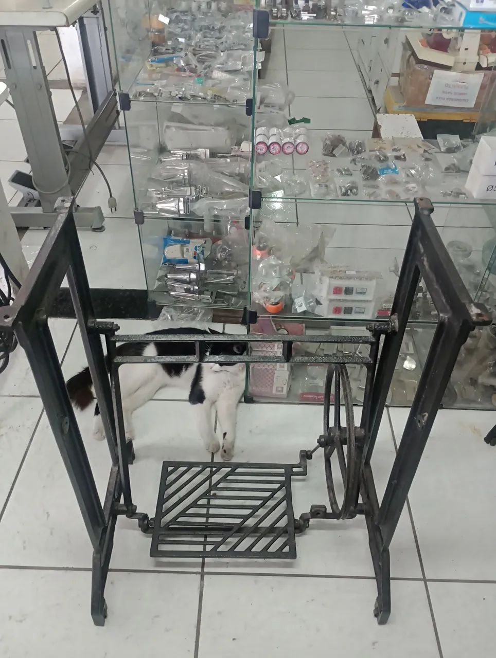 Pe de ferro64872310443009120