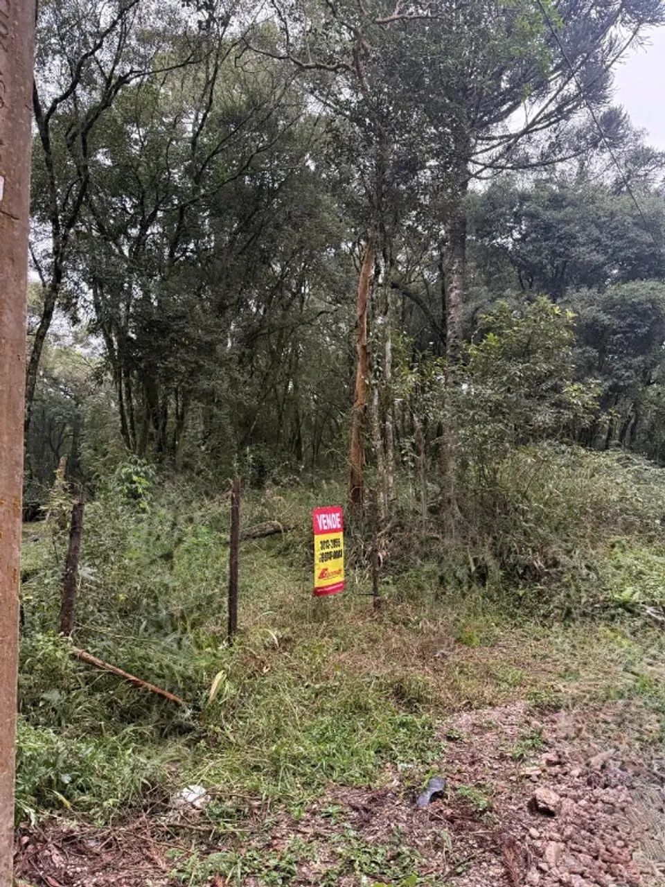 TERRENO RURAL À VENDA BUGRE | BALSA NOVA/PR - Foto 5