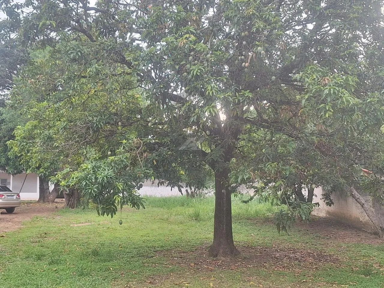 chácara - Vila Hollândia - Campinas - Foto 6