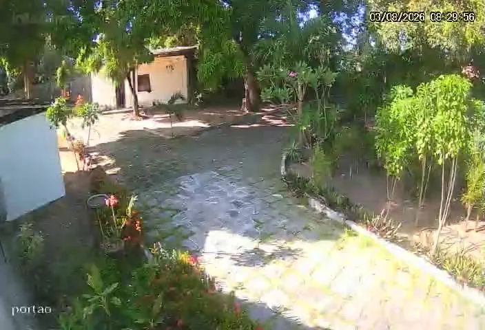 Precisa Empregada Domesticada  - Foto 2
