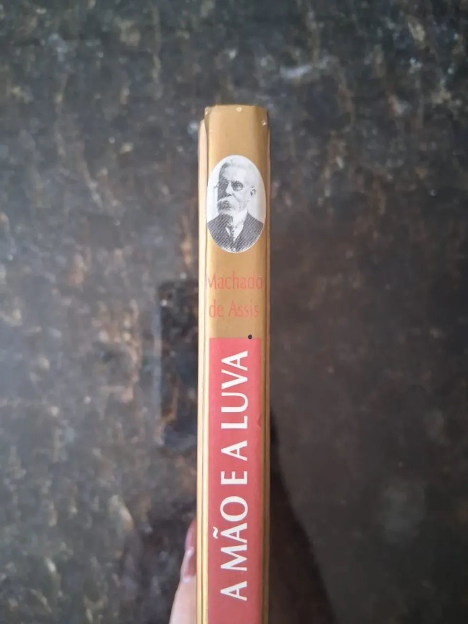 Livro A Mão e A Luva - Foto 2