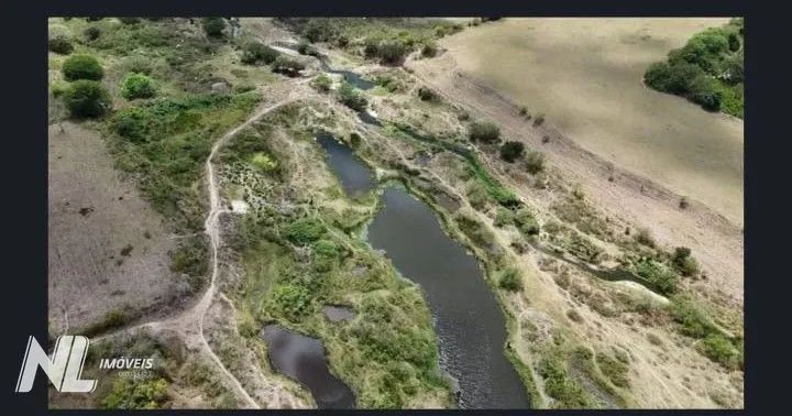 Fazenda à venda próximo a Monte Alegre com 23 hectares - Foto 5