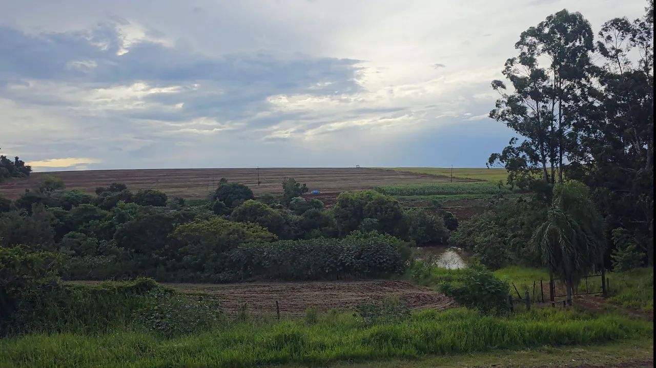 Vendo Sítio de 236.870 M² em Vera Cruz do Oeste-PR. - Foto 3