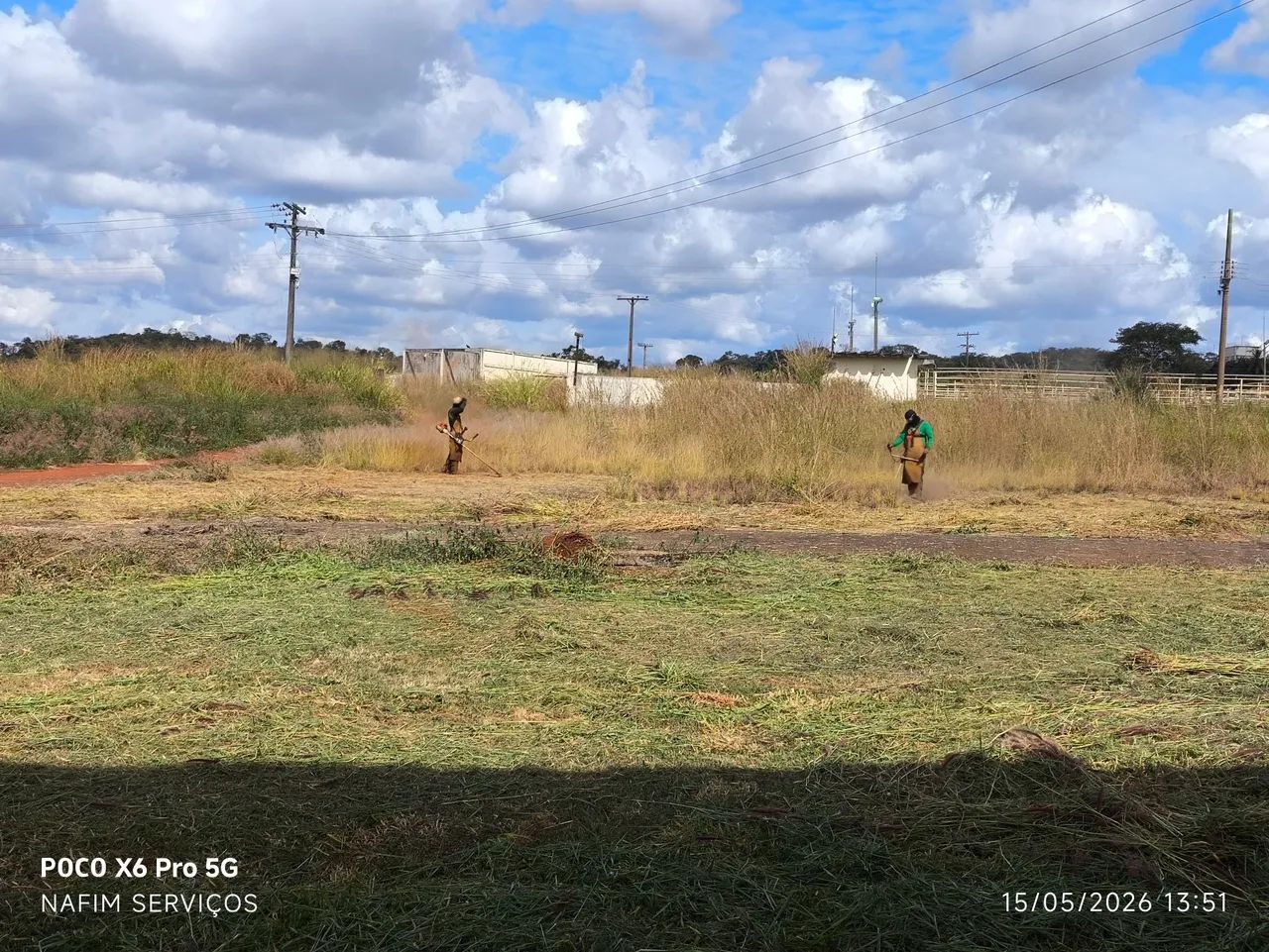 Jardinagem em geral, Locação  - Foto 2