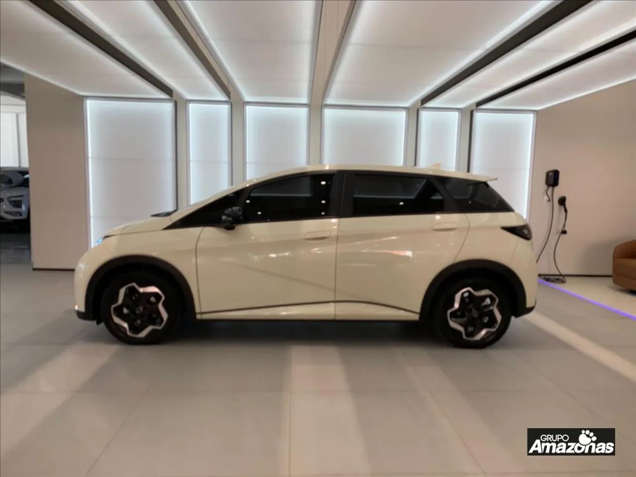 BYD Dolphin EV (Elétrico) 2024 - Foto 4