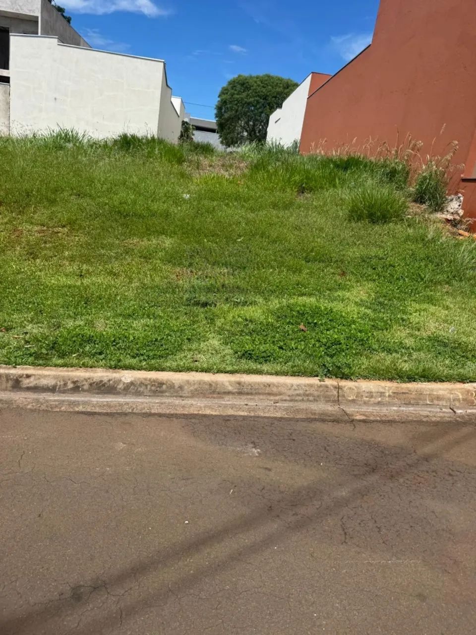 Foto - Londrina - Heimtal