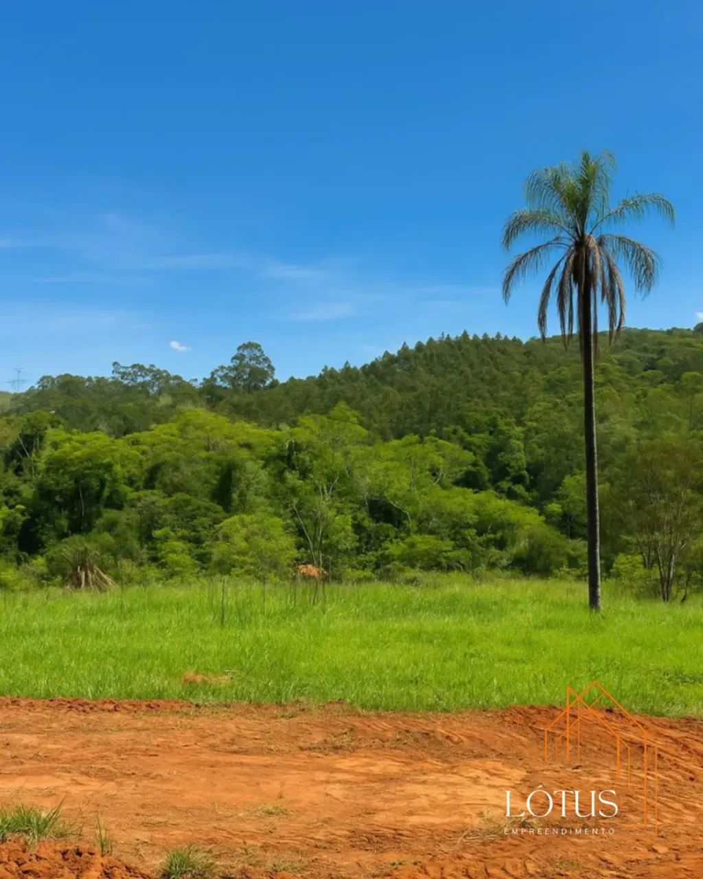 ENTRE NO INÍCIO E ACOMPANHE O CRESCIMENTO DA REGIÃO - Foto 5