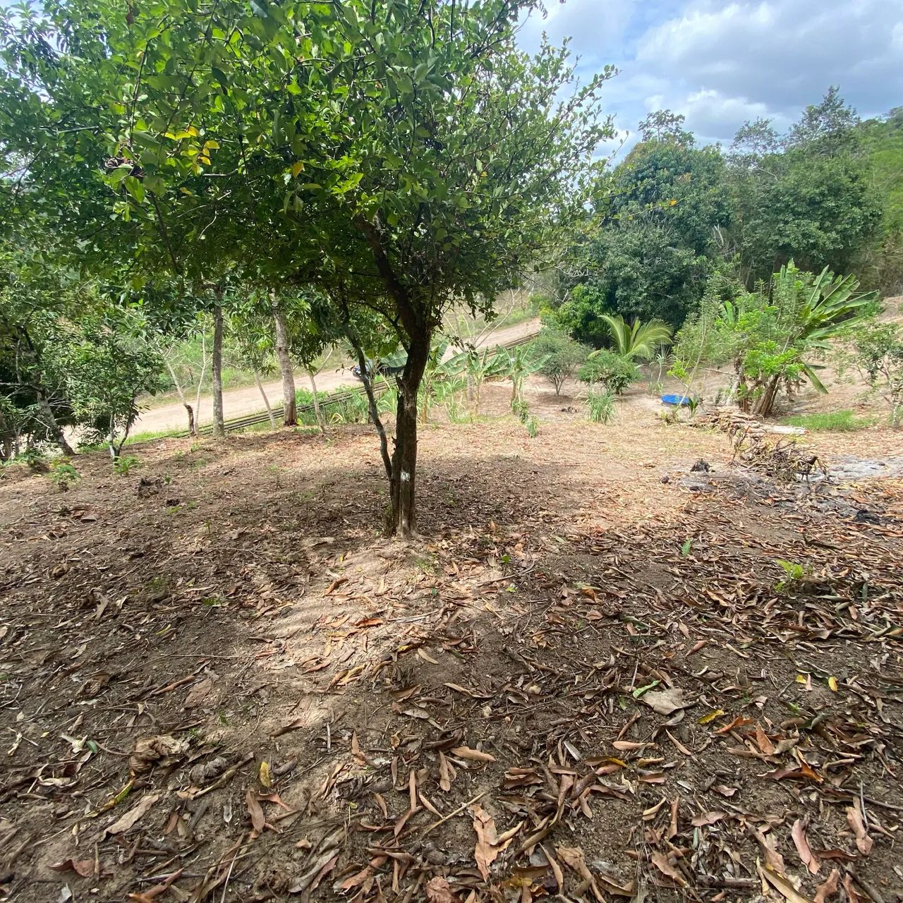 Vendo sitio 