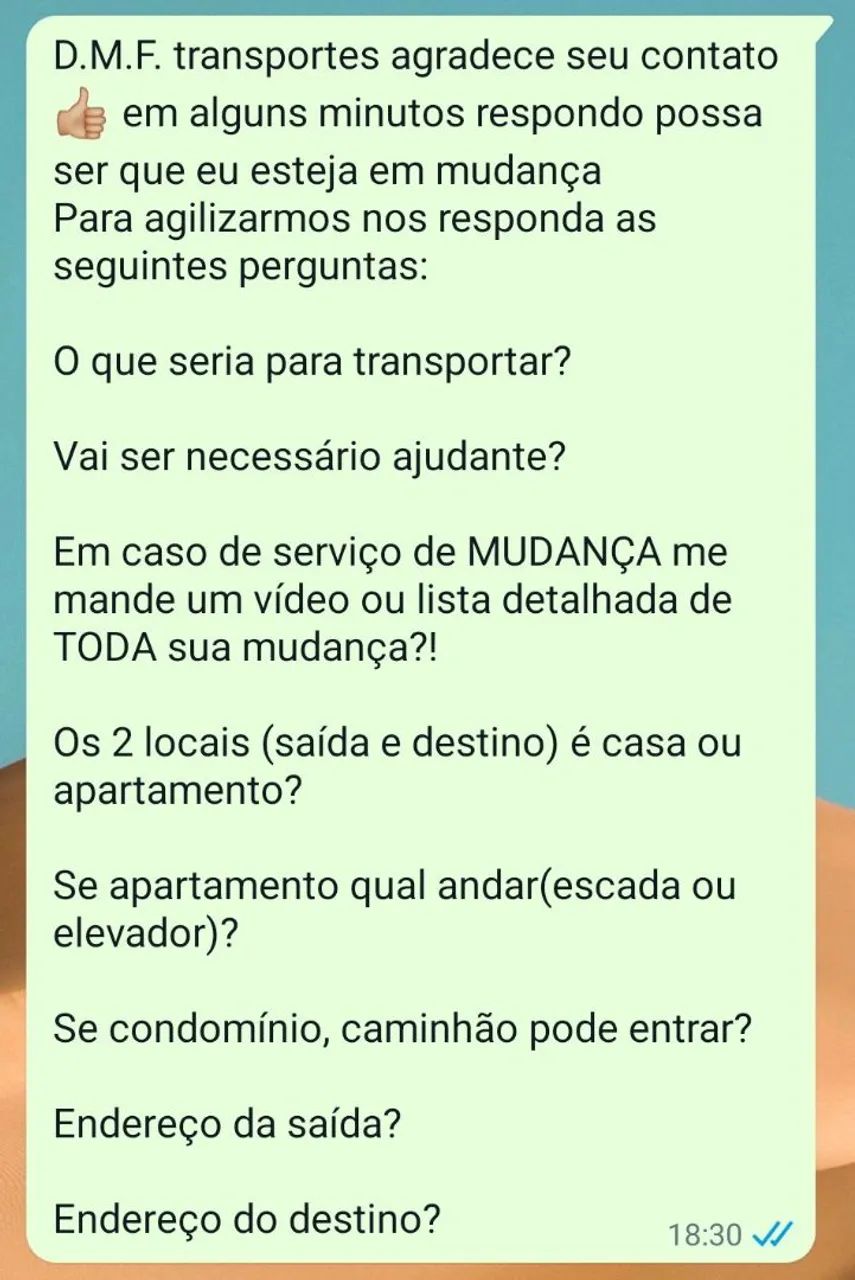 Frete bau mudança  - Foto 5