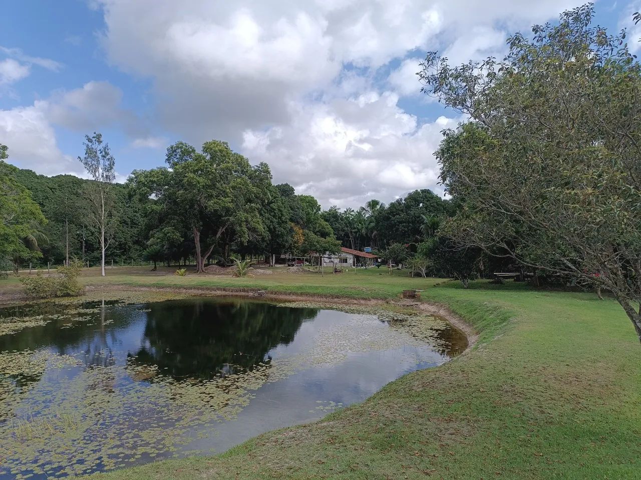 Vendo sítio em Centro Novo do Maranhão  - Foto 5