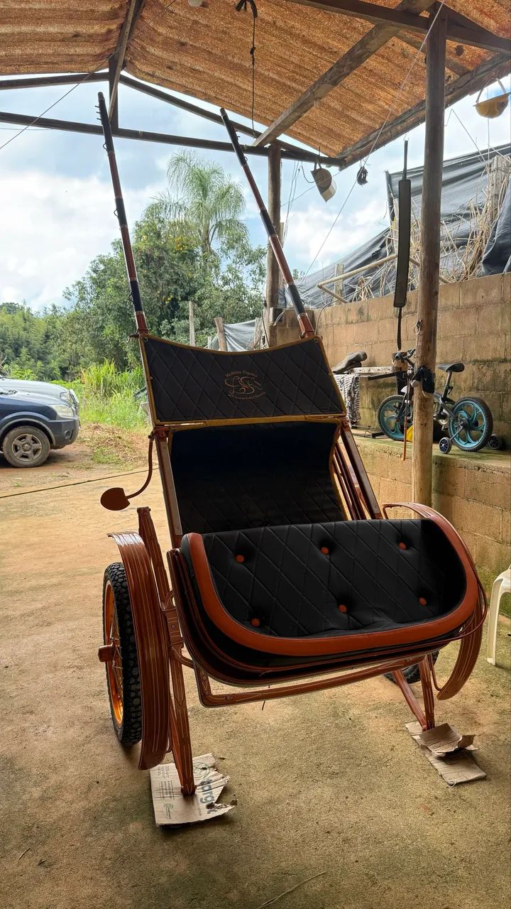 Cavalo mestiço e charrete 