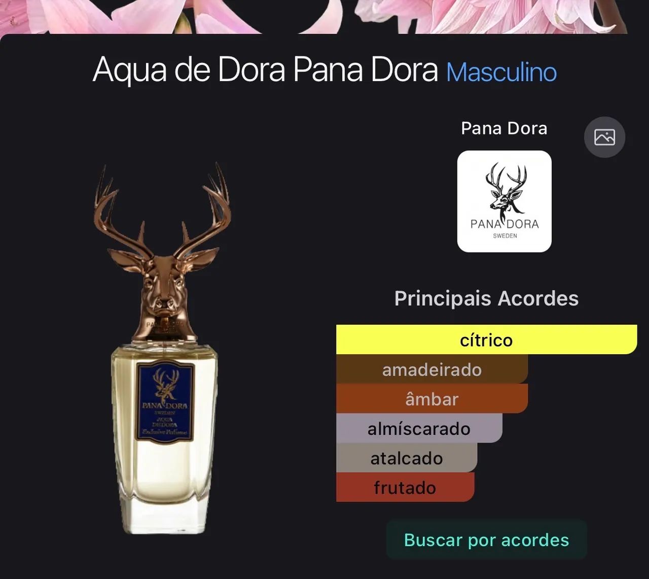 Perfume panadora aqua de dora masculino 100ml - Foto 4