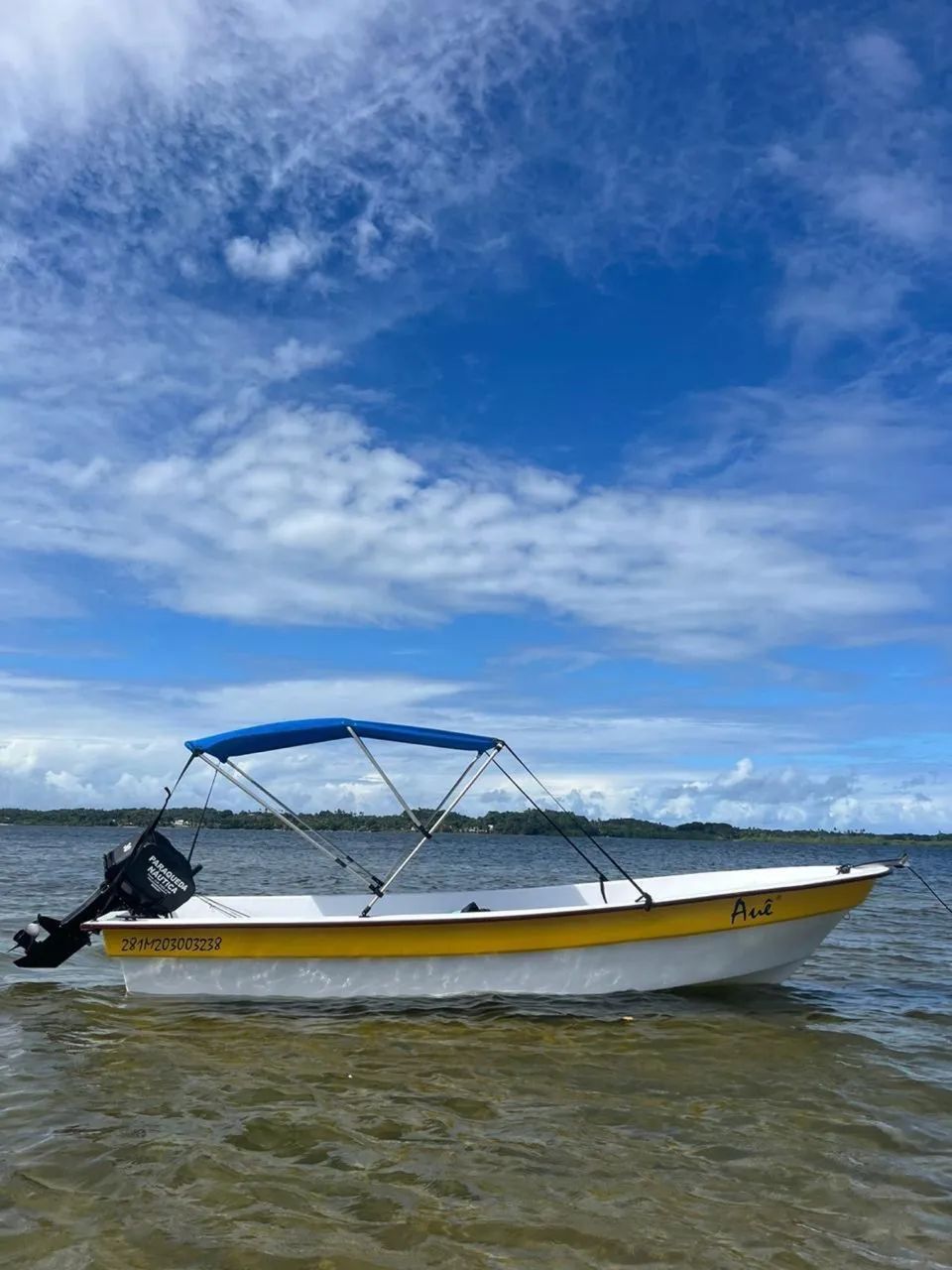 Barco Panga  - Foto 5