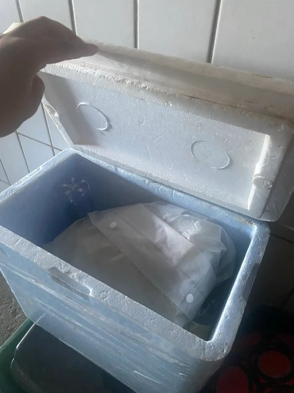 Caixa térmica seminovo - Foto 3