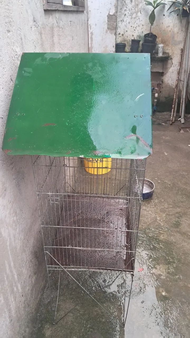 Viveiro para pássaros e Animais  - Foto 3