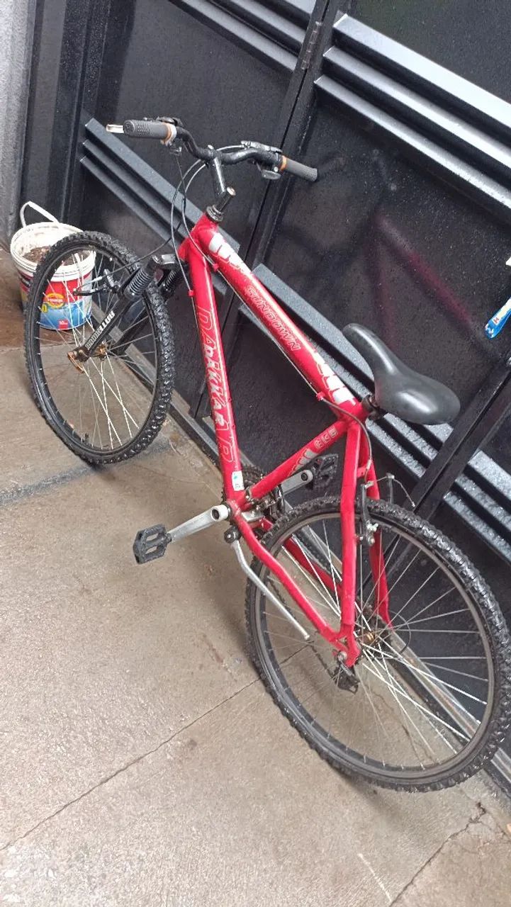 Bicicleta 