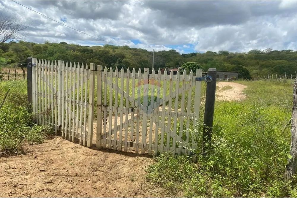 Excelente Casa de Campo à venda - Foto 3