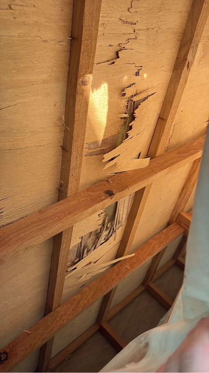 Cama box - Foto 4