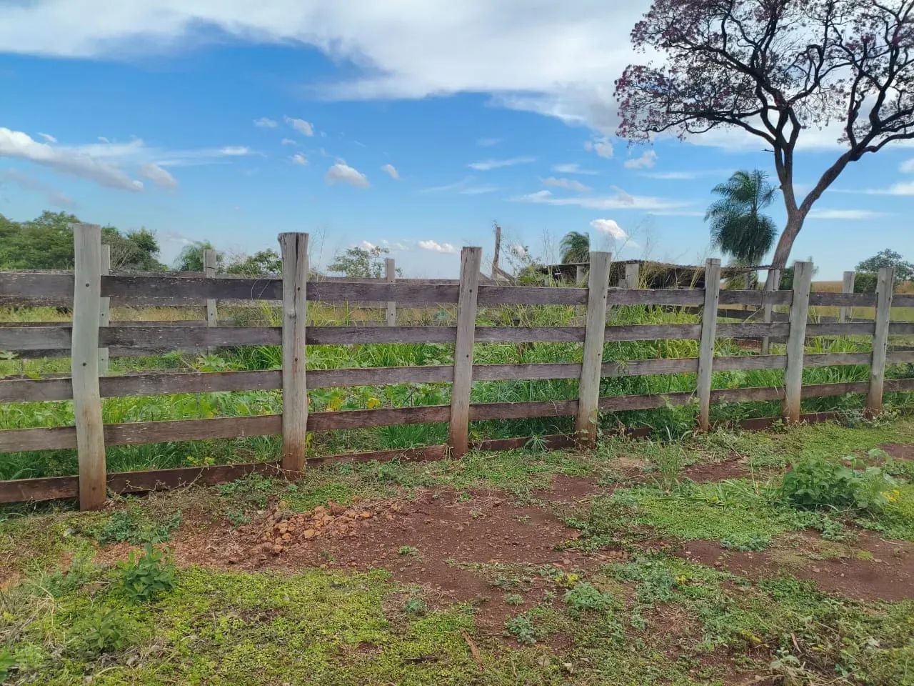 CÓD 593  Chácara à Venda | Sidrolândia /MS - Foto 4