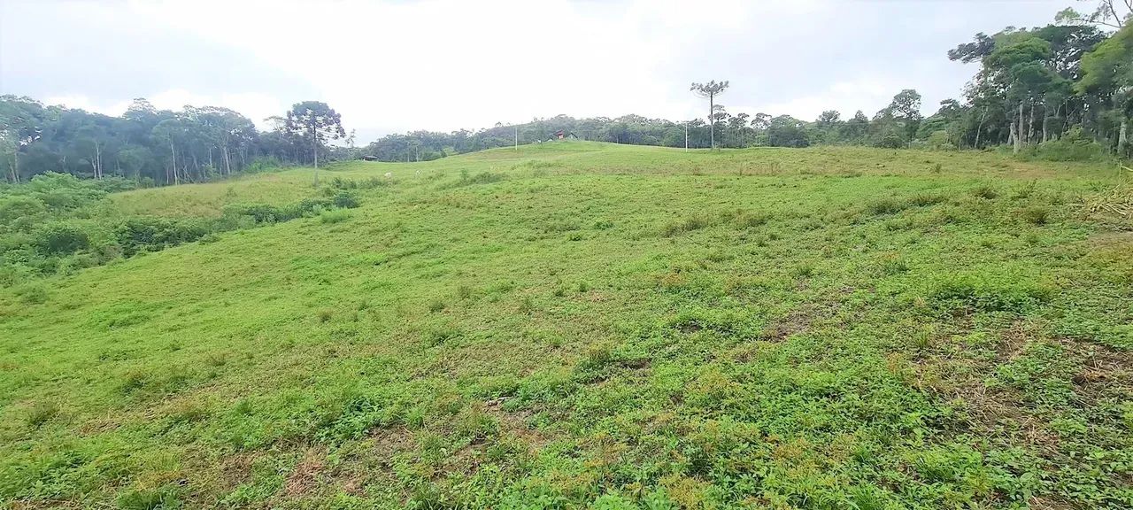 Sítio com 36.000 m² com belo rio - Alfredo Wagner - SC - Foto 4