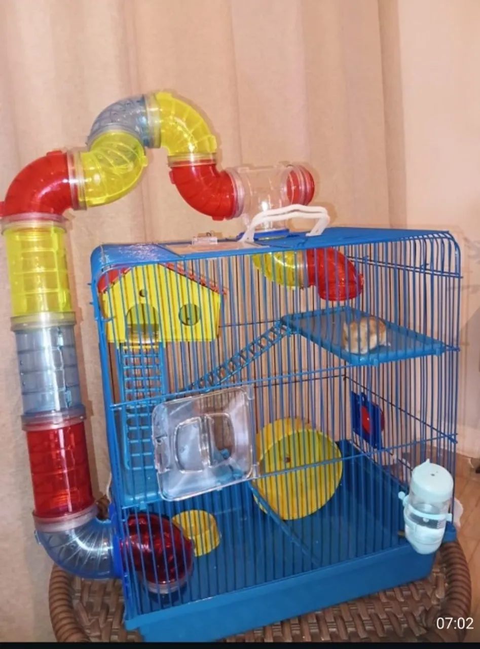Gaiola hamster 