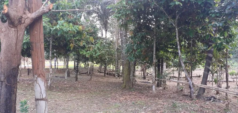 Sitio estrada de Autazes - Foto 3