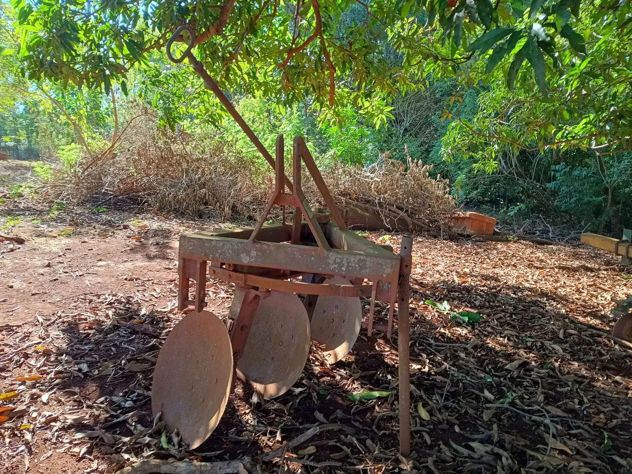 Arado Reversível Santa Isabel 