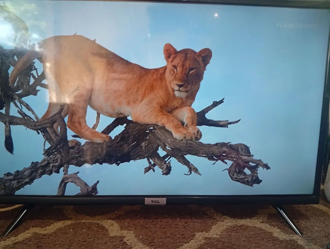 Oportunidade  - Foto 2