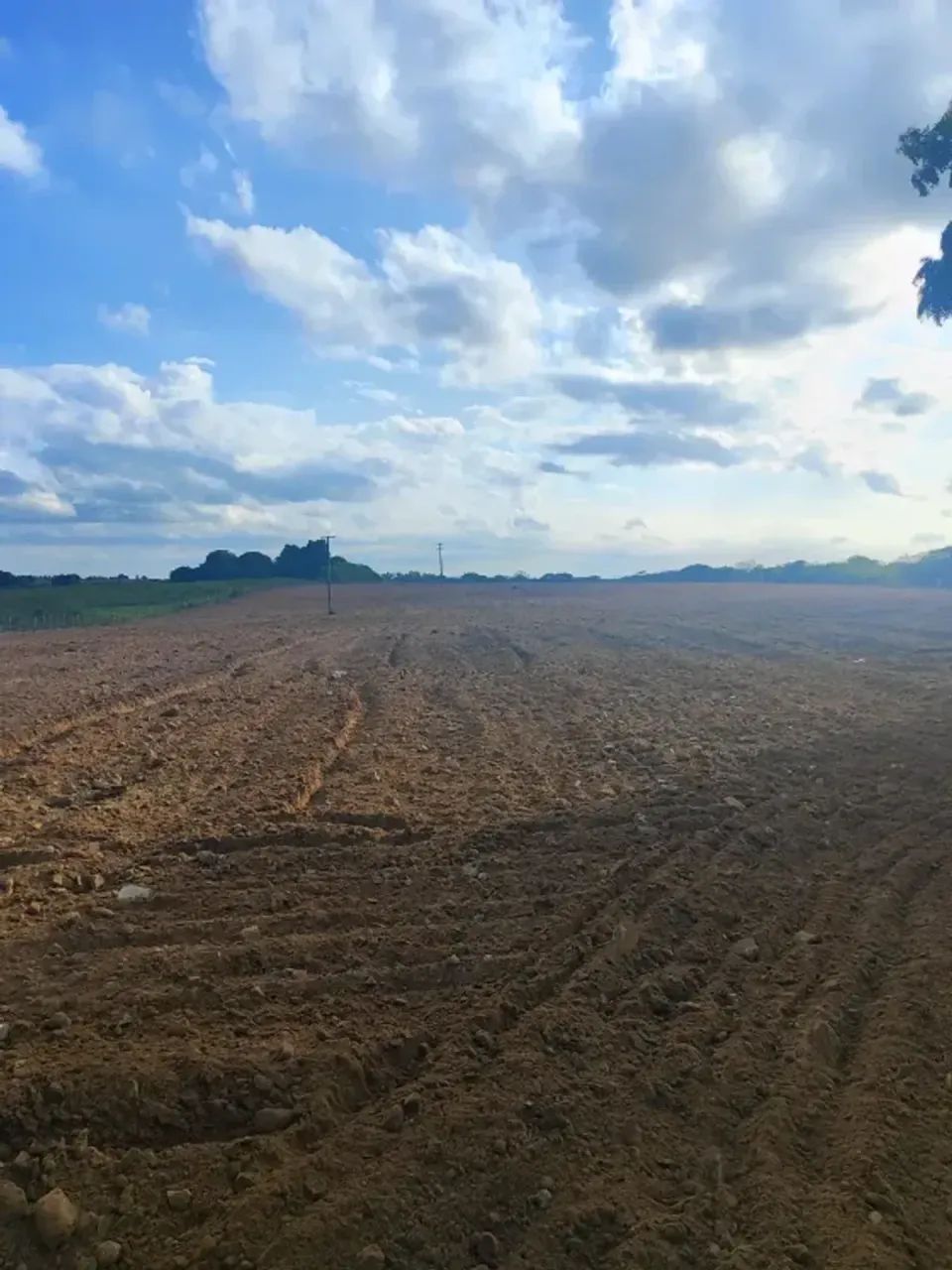 Granja com 3.6 hectares na região de Monte Alegre - Foto 4