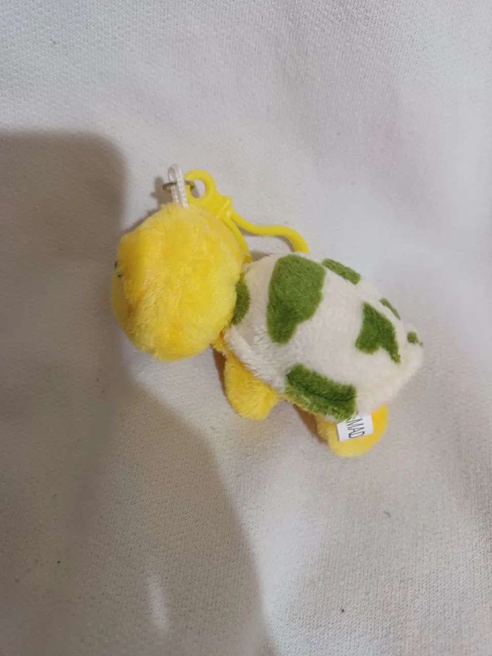 Tartaruga cansada - Foto 2