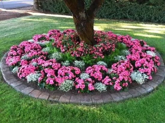 Ofereço serviço como jardineiro ou caseiro 