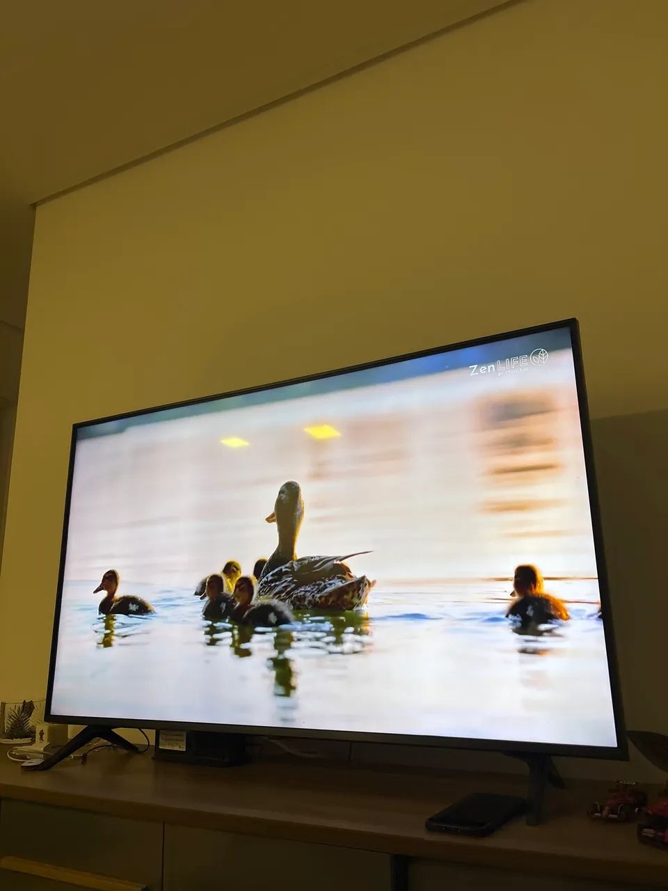 TV LG 50 polegadas