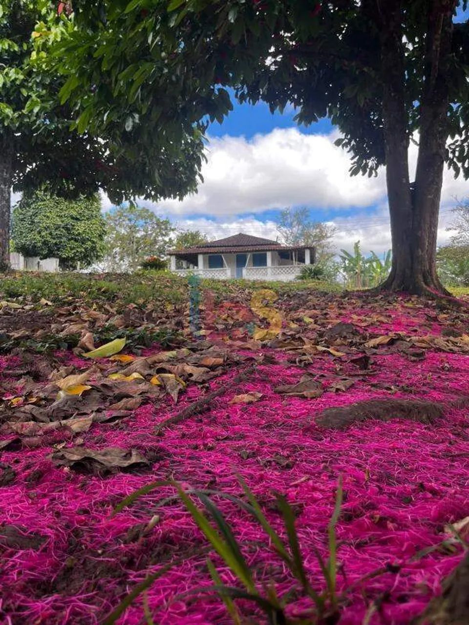 VENDO FAZENDA DE 33ha - URUÇUCA