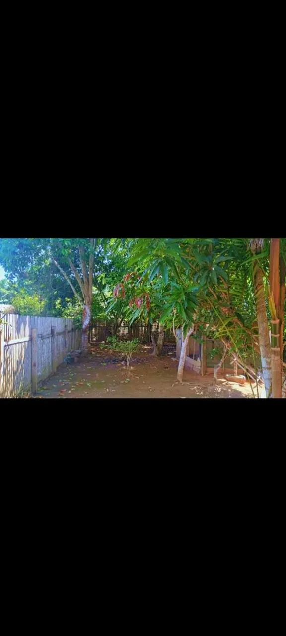 Casa pra venda em Belterra   - Foto 3