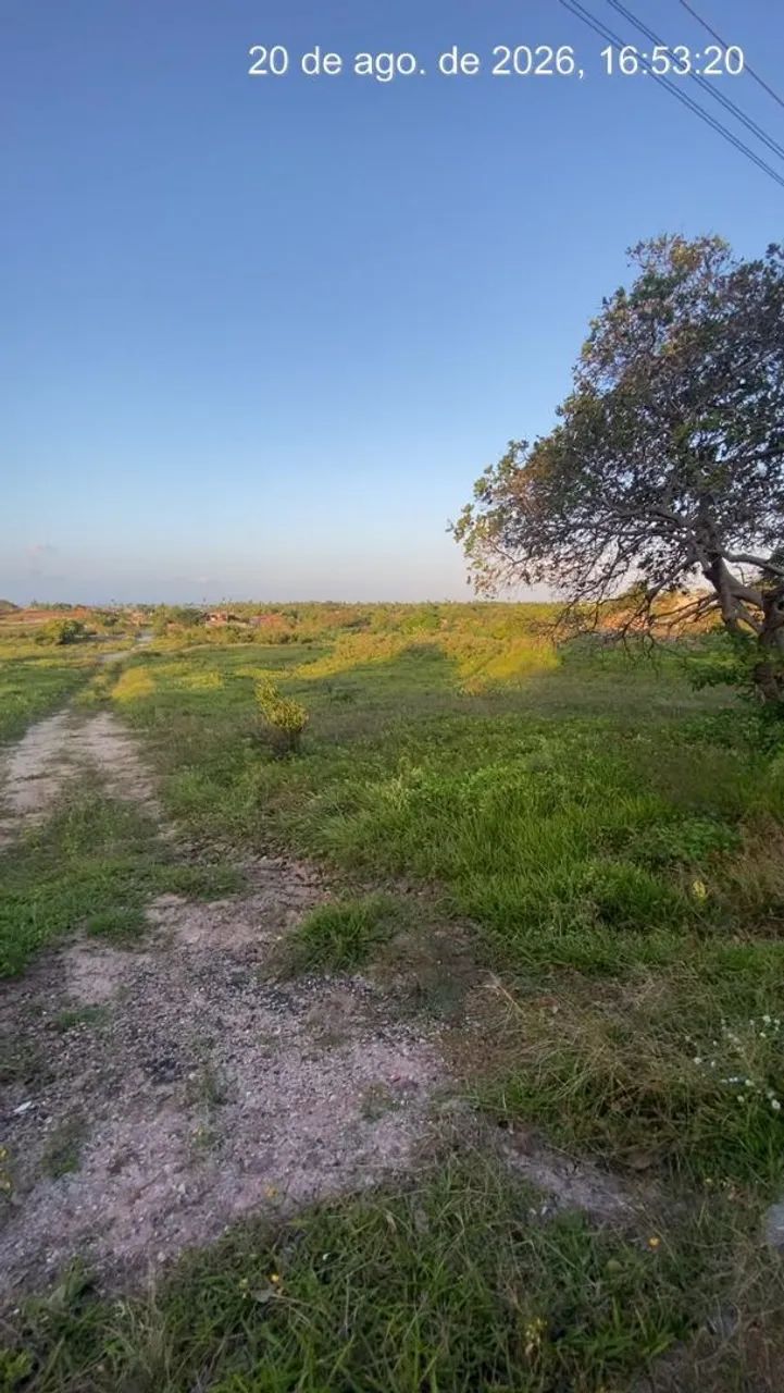Terreno em Muriú  - Foto 5