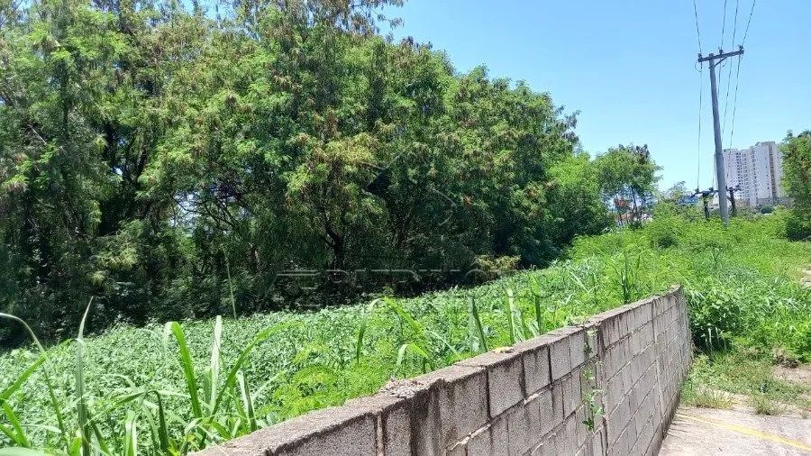 ÁREA COM 45.000M² - VILA RICA - Foto 5