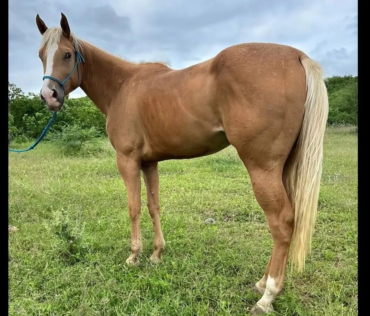 Vende-se Poltra Silver Lena - Foto 2