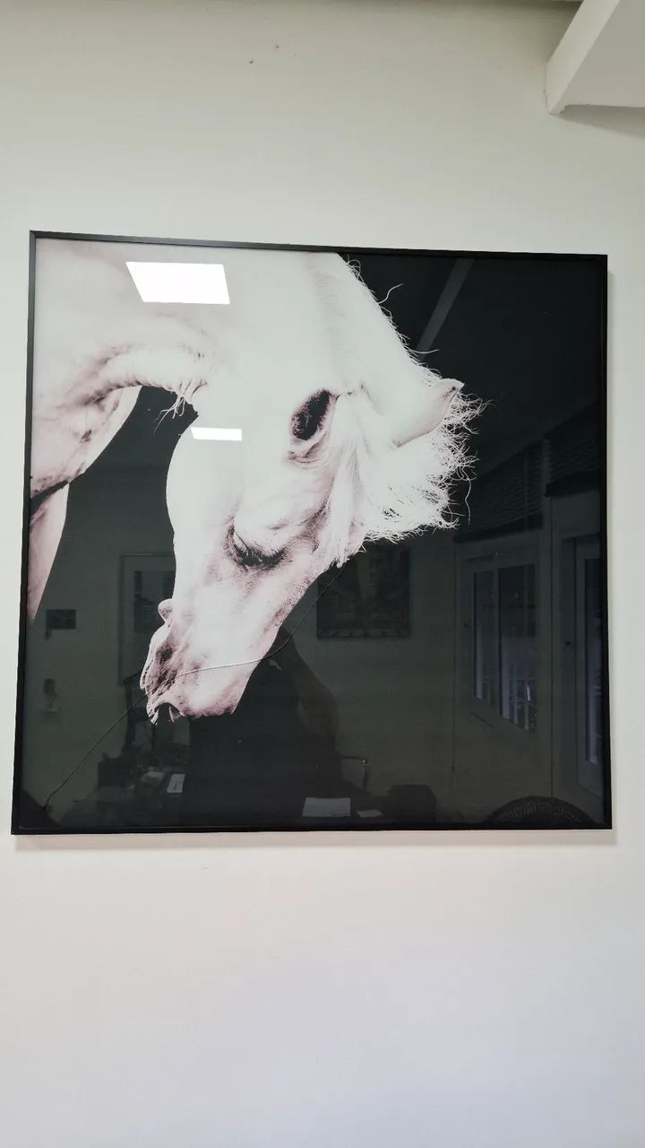 Quadro