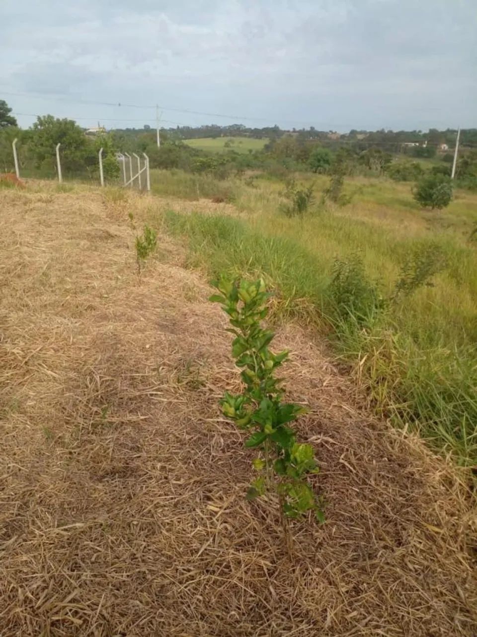 Chácara para Venda em Presidente Prudente / SP no bairro Vila Maria - Foto 11